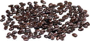 Coffee beans PNG image-9287